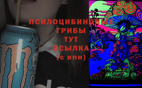 тгк Арсеньев